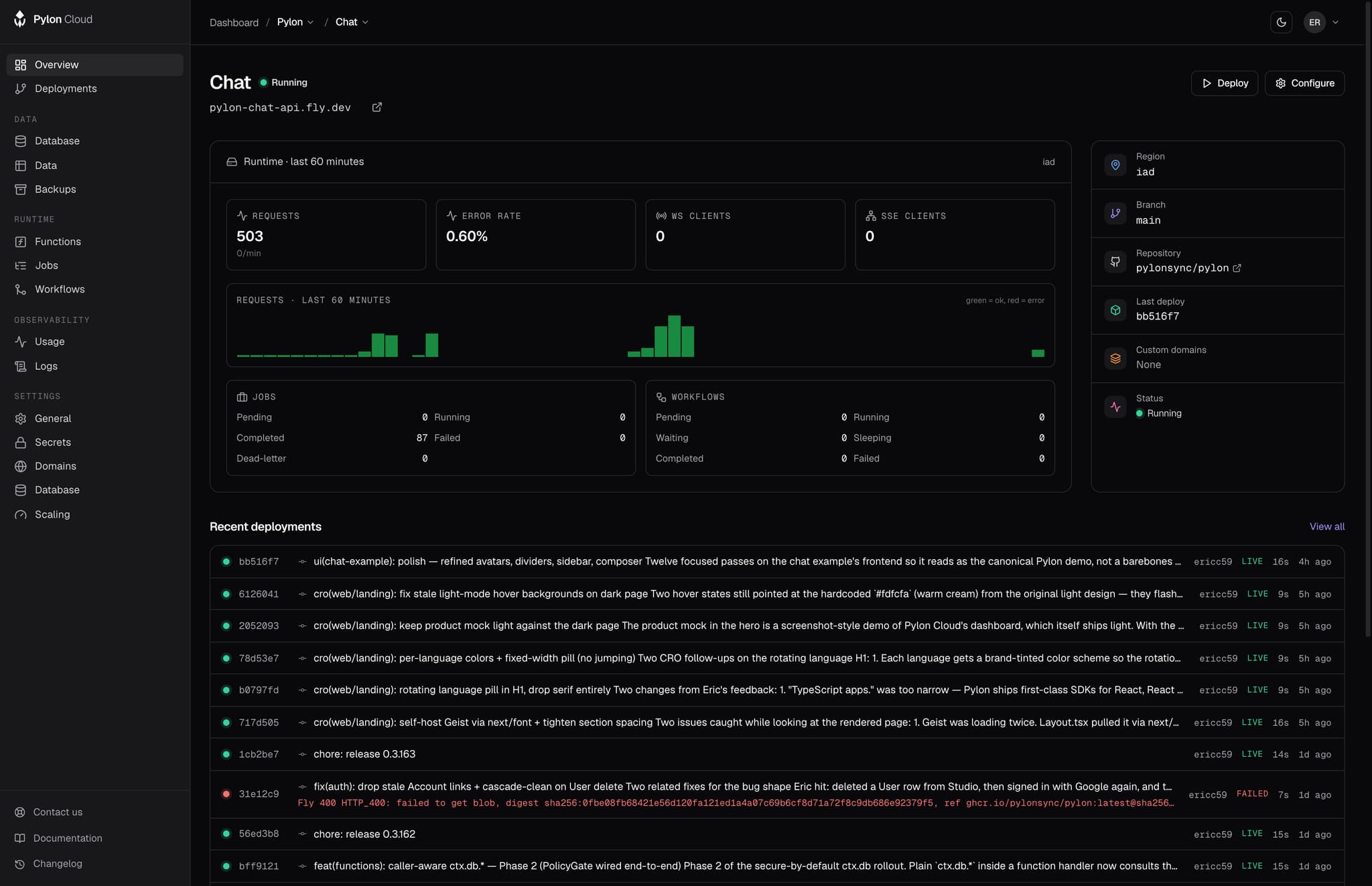 Pylon Cloud dashboard — project overview with deployments, machine status, and live metrics